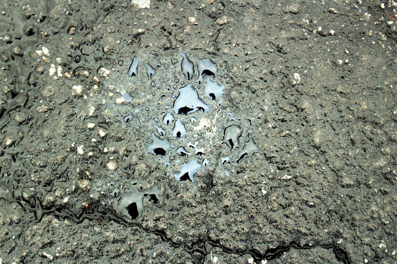 Oil on ground