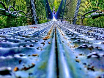 Surface level of railroad track amidst trees