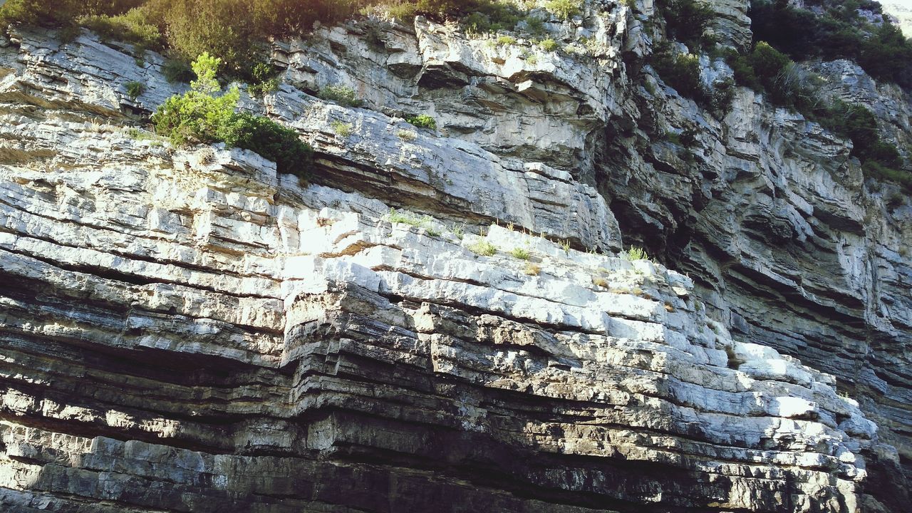 FULL FRAME SHOT OF TREE TRUNK WITH ROCKY MOUNTAINS