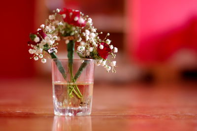 Close-up of red rose in glass vase on table