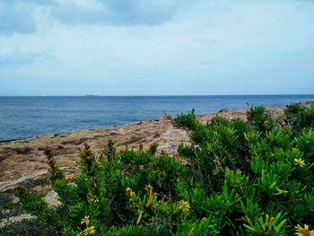 Scenic view of sea against sky