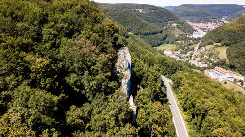 High angle view of trees on landscape