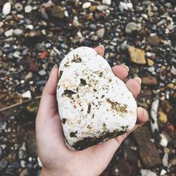 Close-up of hand holding rock