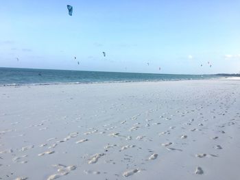 Birds flying over beach against sky