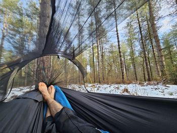 Tent in forest