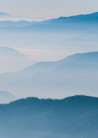 Tiny trees within gigantic mountain layers