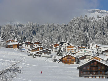 Houses on snow covered mountain