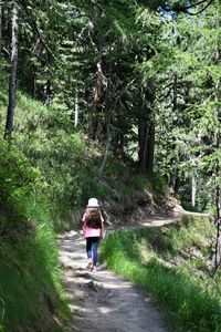 Rear view of girl walking on footpath in forest
