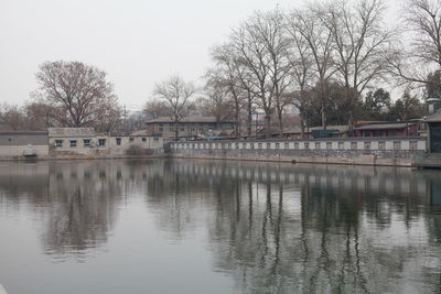 Reflection of trees in river