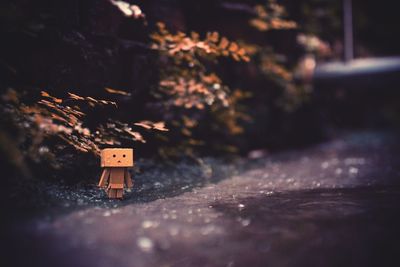 Close-up of wooden toy on wet road 