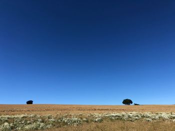 View of a field against clear sky