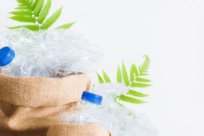 Close-up of plant against white background