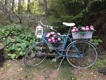 Bicycle in basket