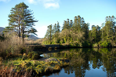 Reflection of trees in lake against sky