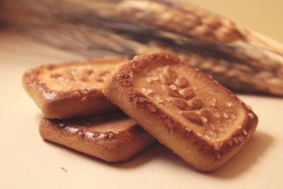 Close-up of cookies in plate