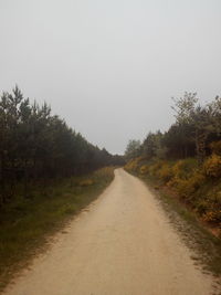 Road passing through landscape