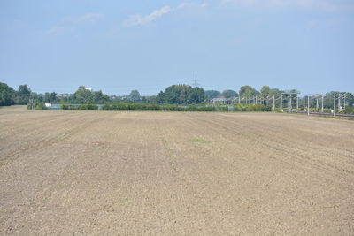 Scenic view of field against clear sky