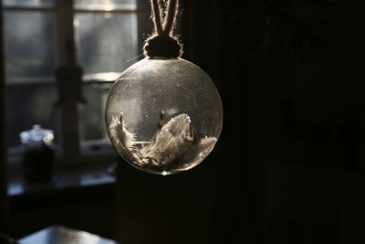 Close-up of crystal hanging against black background