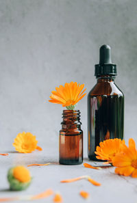 Close-up of orange flower on table