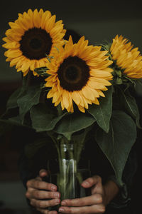 Cropped hands holding sunflowers in vase