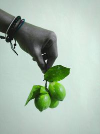 Close-up of hand holding fruit against white background