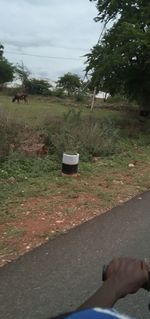 Person on footpath by field against sky