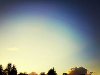 Low angle view of silhouette trees against sky at sunset