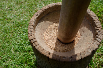 High angle view of tree trunk on field