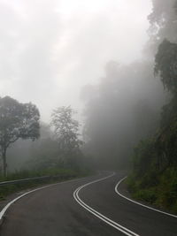 Empty winding road in foggy weather
