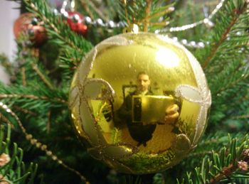 Close-up of illuminated christmas tree