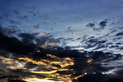 Low angle view of silhouette birds flying against dramatic sky