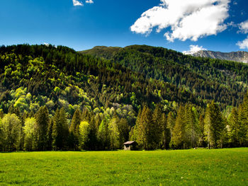 Scenic view of mountains, trees and field against sky