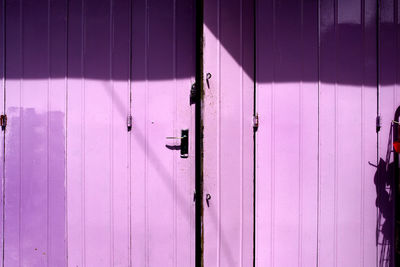 Close-up of lizard on wooden door