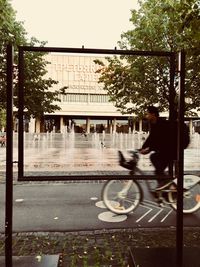 Man riding bicycle on street in city