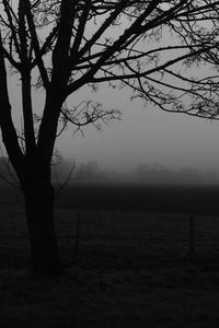 Silhouette bare tree on field against sky