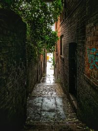 Narrow alley amidst buildings