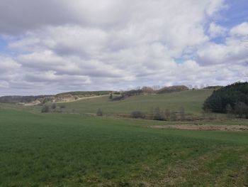 Scenic view of field against sky