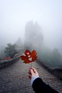 Person holding maple leaf during autumn
