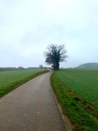 Road amidst trees on field against sky