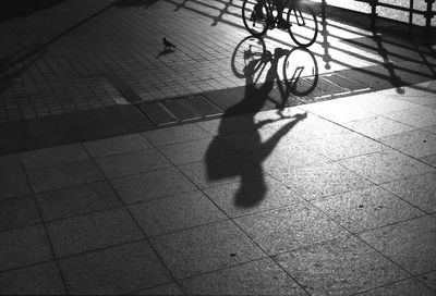 Shadow of tree on the wall