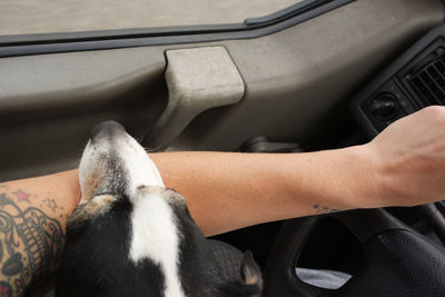 Midsection of woman with dog in car