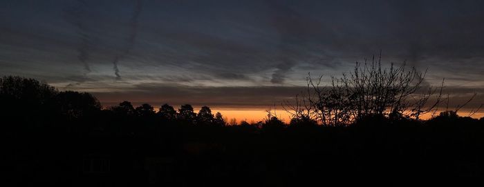 Silhouette trees against sky at sunset