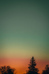 A dramatic and clear orange and blue sky with silhouetted trees at the bottom of the frame