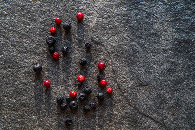 Directly above shot of red berries