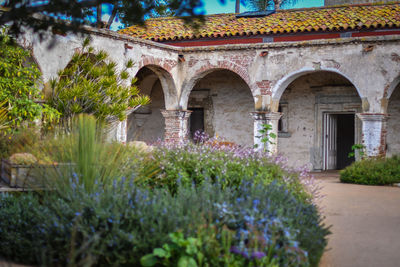 Low angle view of flowering plants and historic building