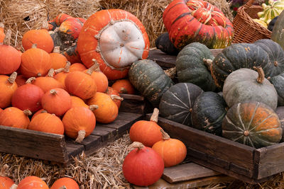 High angle view of pumpkins in market