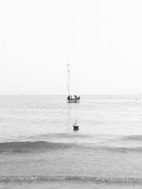 Sailboat sailing on sea against clear sky