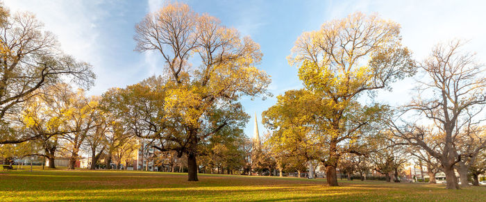 Trees on field against sky during autumn