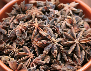 Chinese herbal medicine on wooden