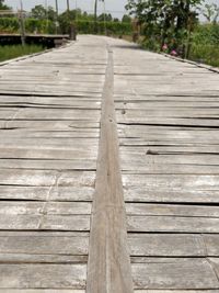 Surface level of wooden boardwalk along plants
